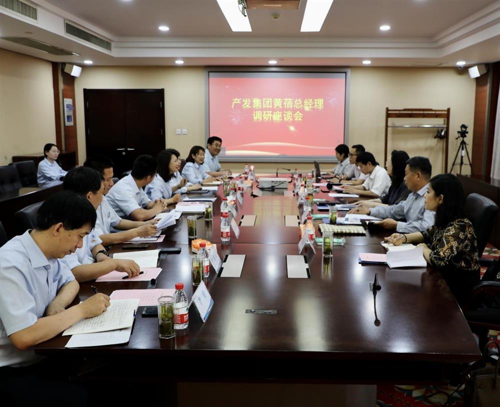 集團(tuán)黨委副書記、總經(jīng)理黃蓓帶隊(duì)調(diào)研濟(jì)南市工程咨詢院