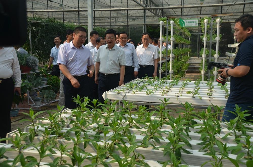 科技助農，播撒光的種子  精準扶貧，助力鄉(xiāng)村振興