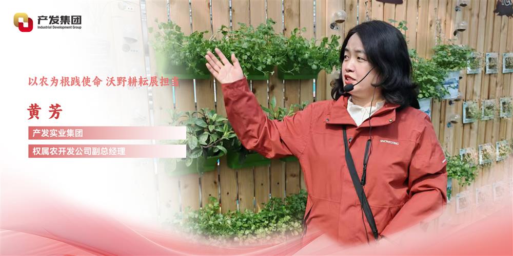 巾幗綻芳華 | 產(chǎn)發(fā)實業(yè)集團權屬農開發(fā)公司 黃芳：以農為根踐使命，沃野耕耘展擔當